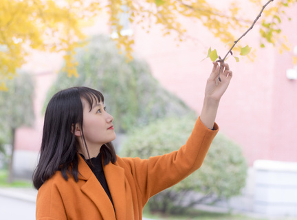 菲律宾签证是落地签吗，去旅游办理什么签证